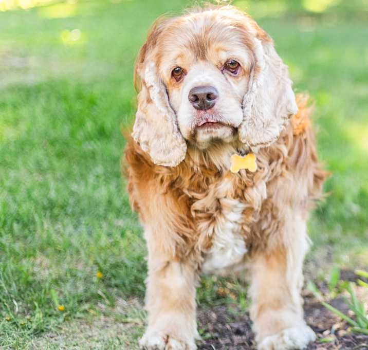 Photo of Harold