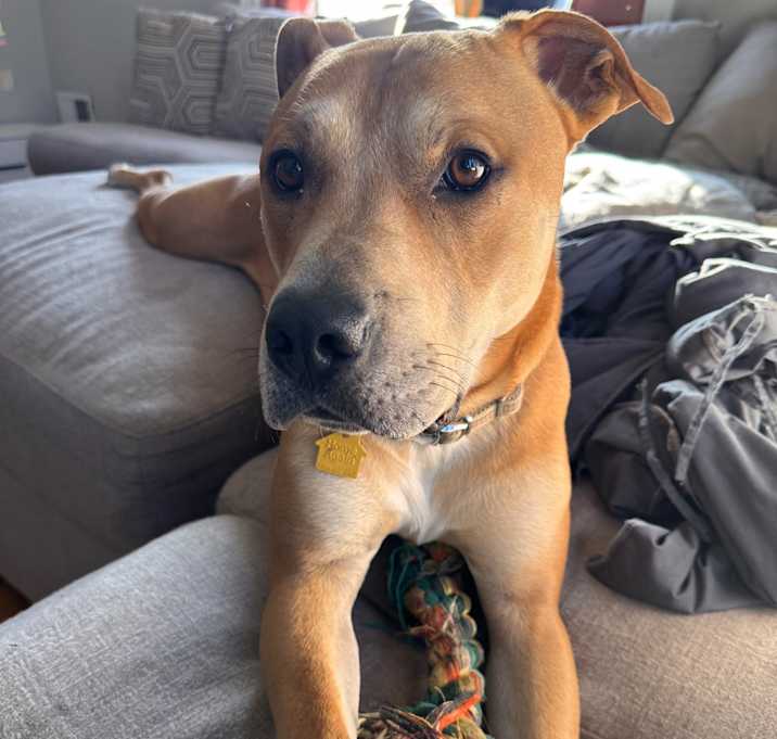 Photo of Oliver