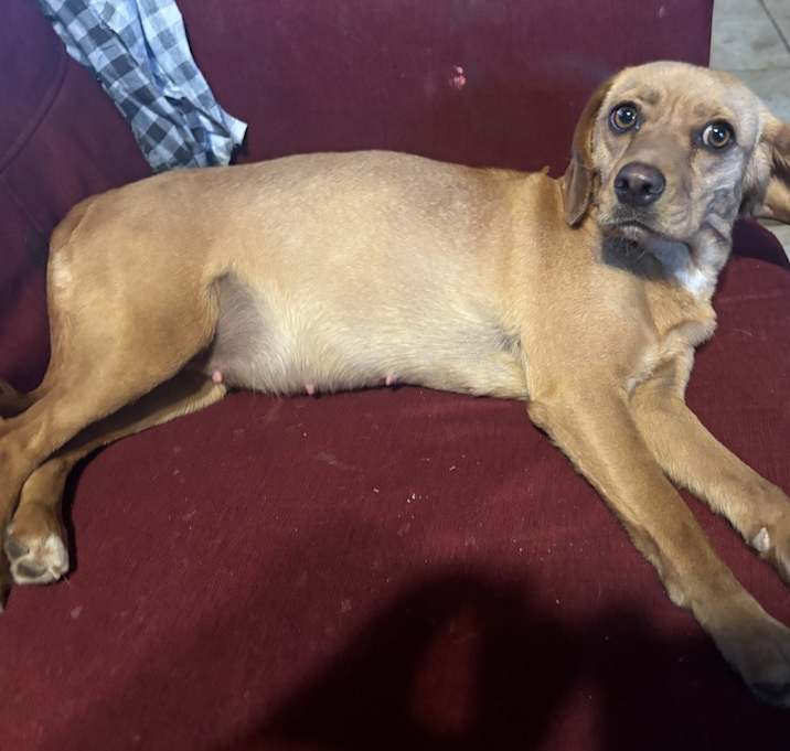 Photo of Cleo