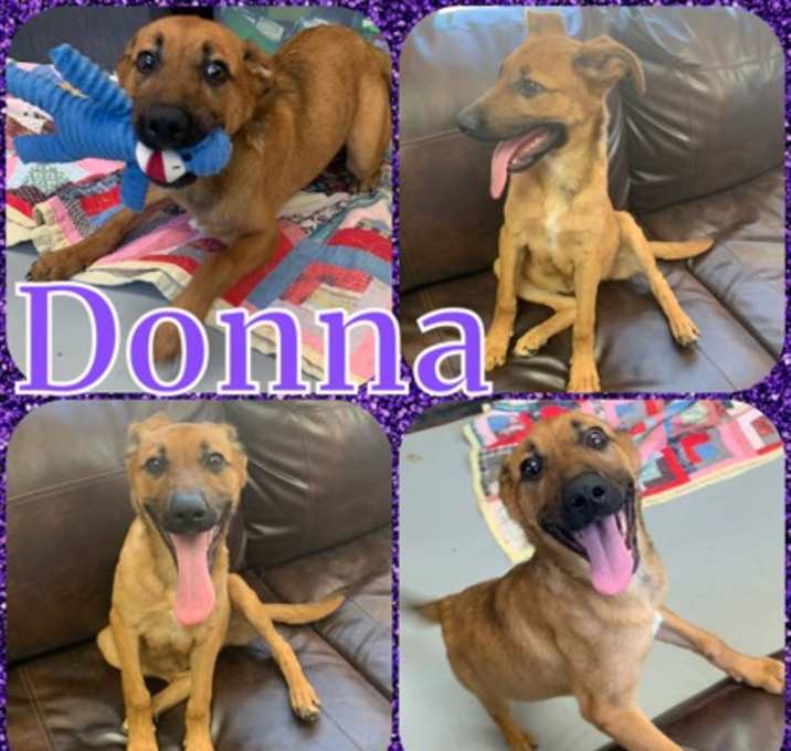 Photo of Donna