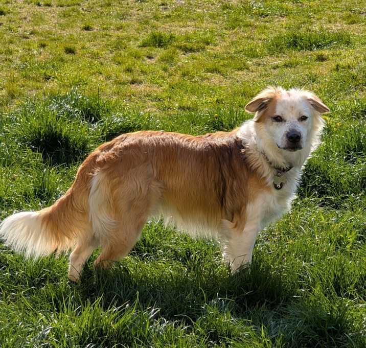 Photo of Kody