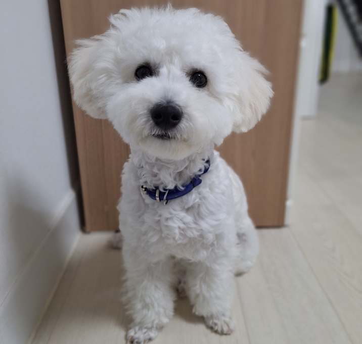 Photo of MONG