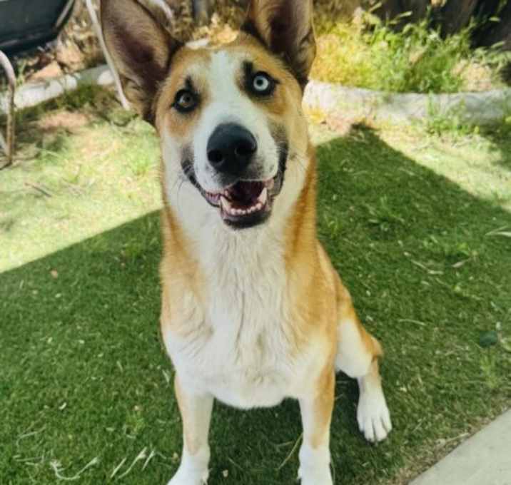 Photo of Chani