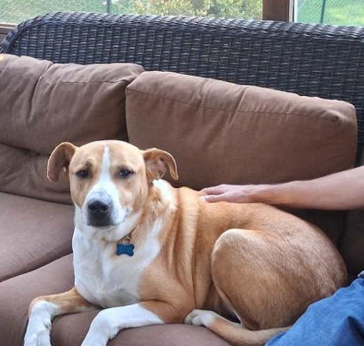 Photo of Coop