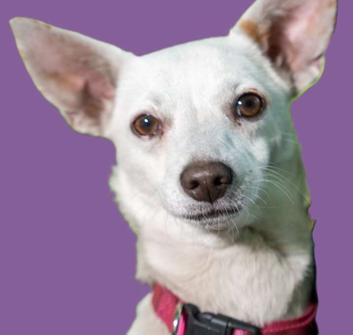 Photo of Patricia