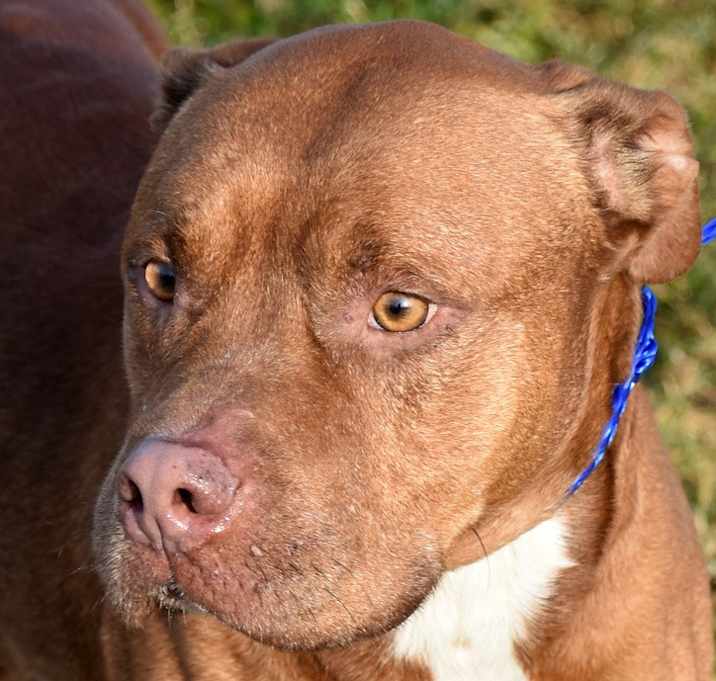 Photo of Duke