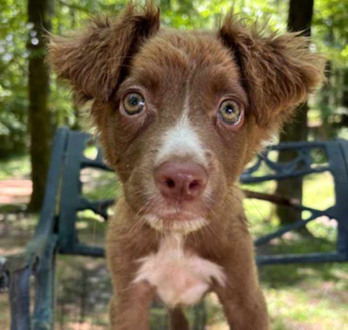 Photo of Prue Roo in CT