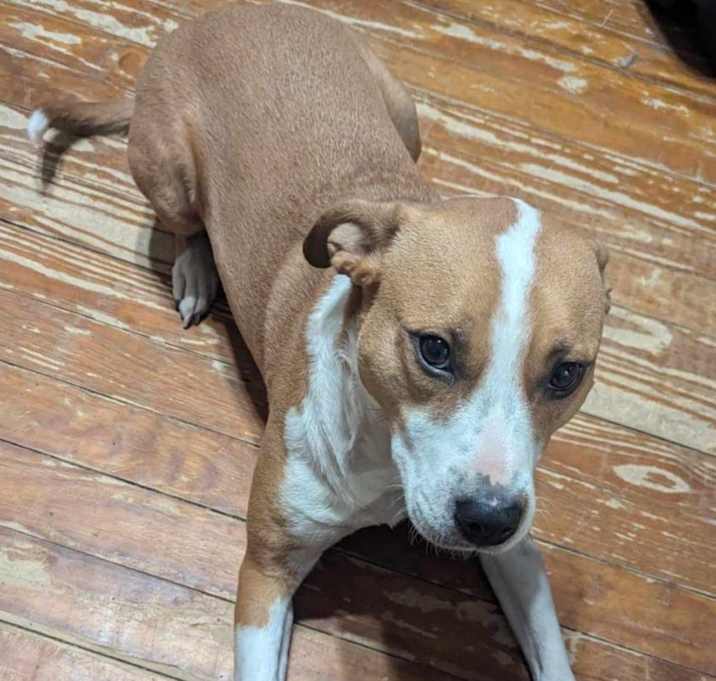 Photo of Sookie