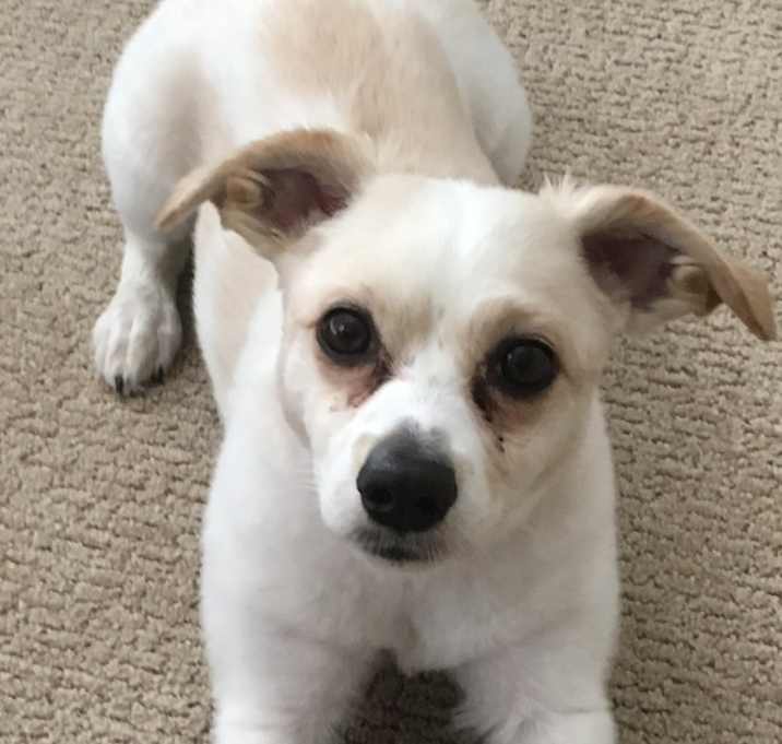 Photo of Cesar