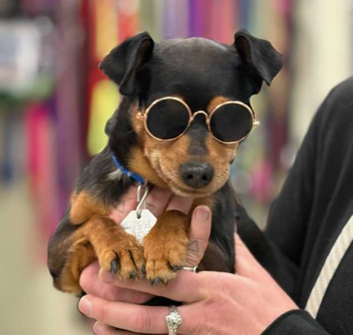 Photo of Echo