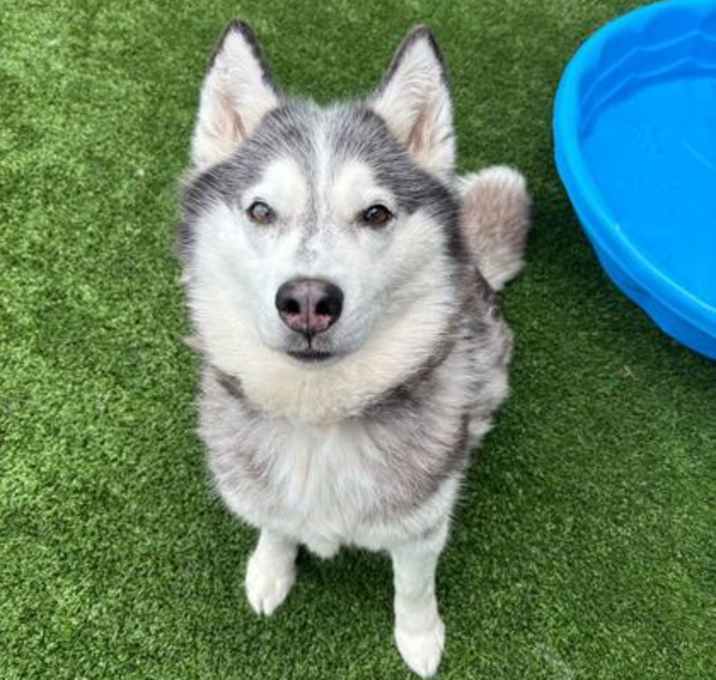 Photo of Sasha