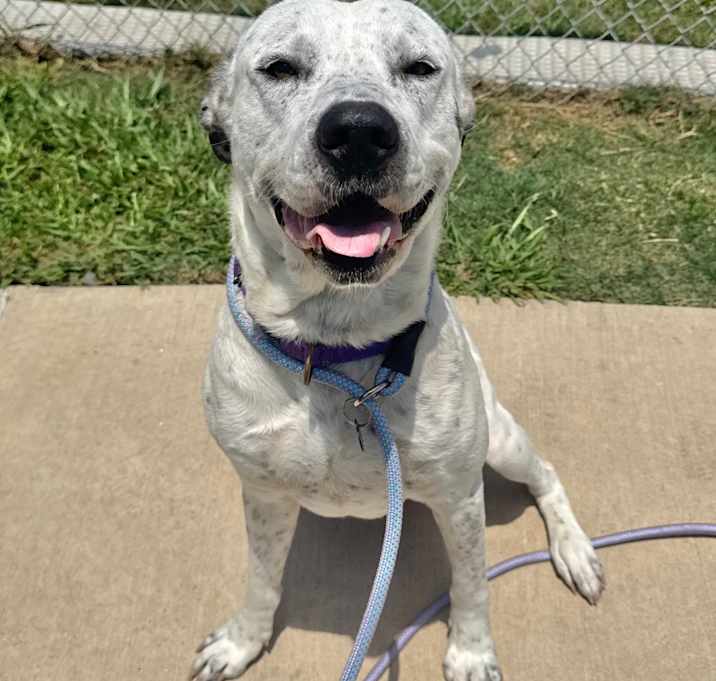 Photo of Otis 