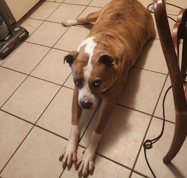 Photo of Zeus