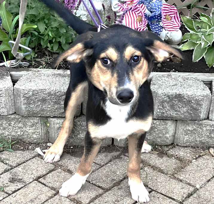 Photo of Murdoc