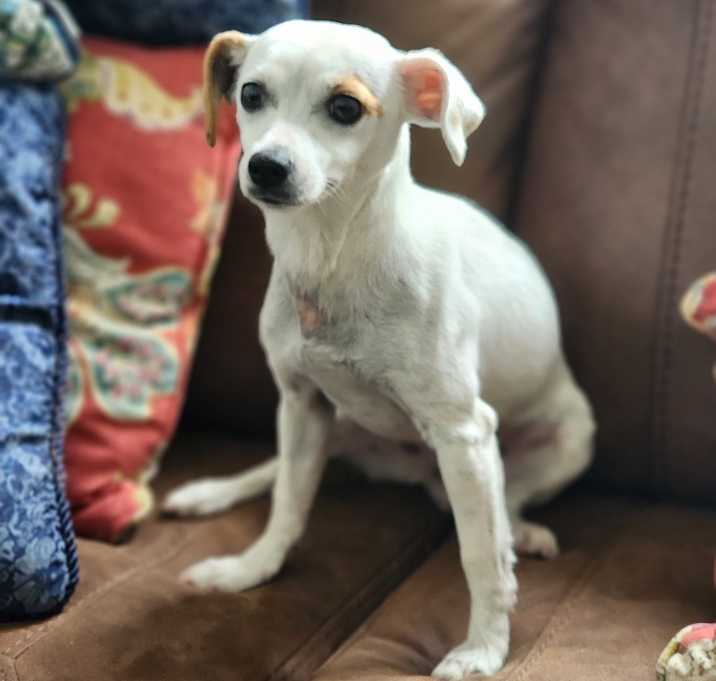 Photo of Ruffles