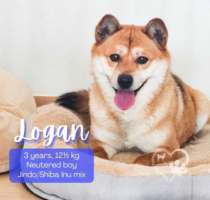 Photo of Logan