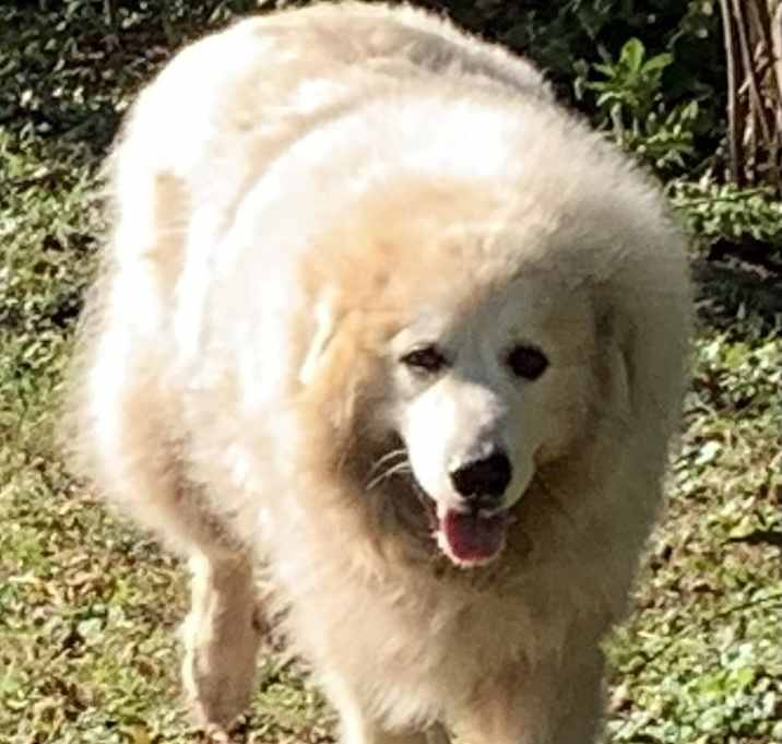 Photo of Mia
