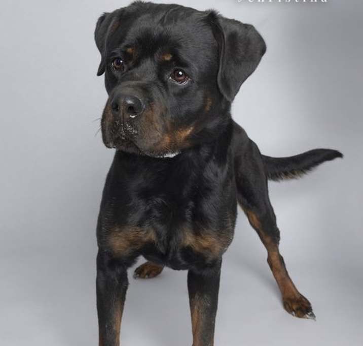 Photo of Wanda