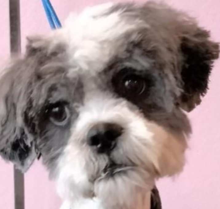 Photo of Sam