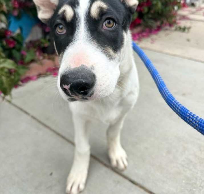 Photo of Bernie