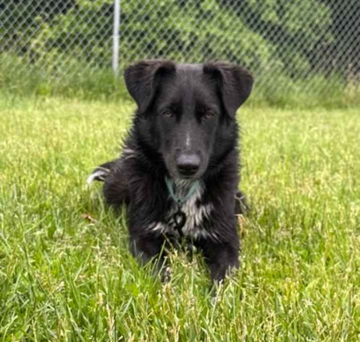 Photo of Waylon