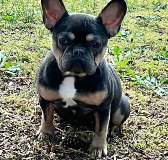 Photo of Chloe