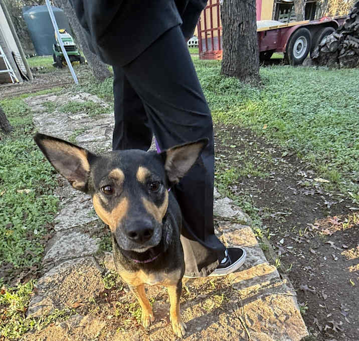 Photo of Lyla