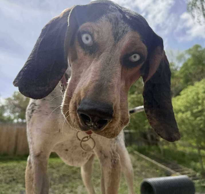 Photo of Frank