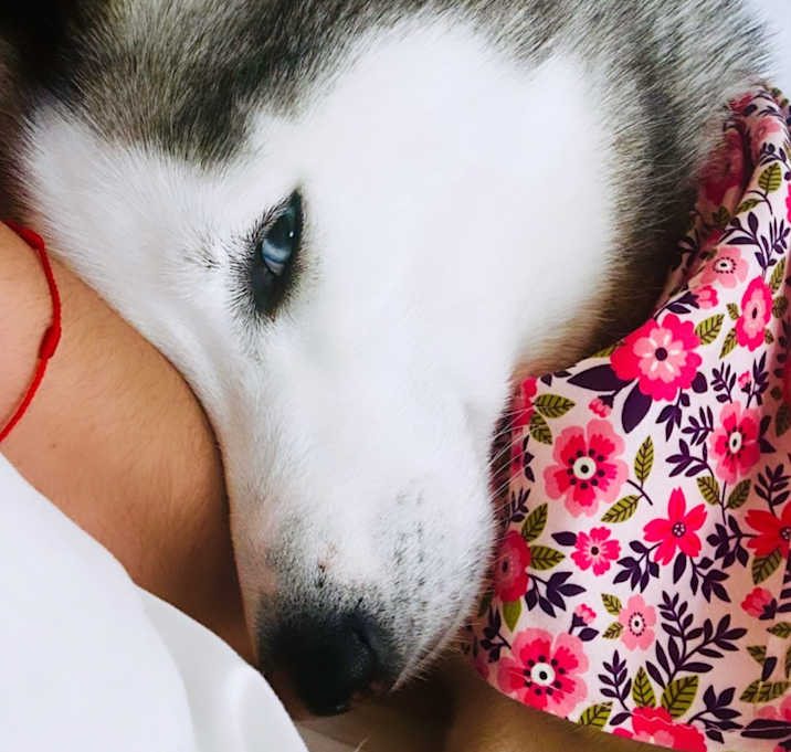 Photo of Gia