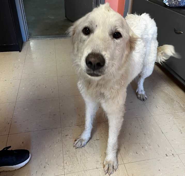 Photo of Lucy