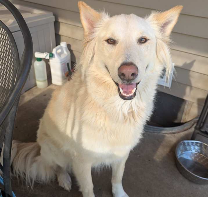 Photo of Hope