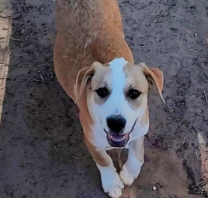 Photo of Polly