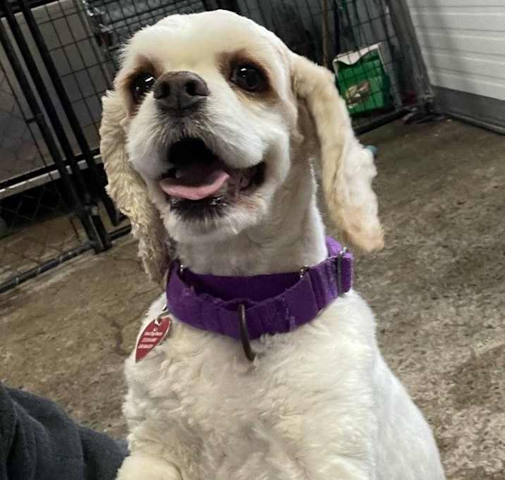 Photo of Ruby