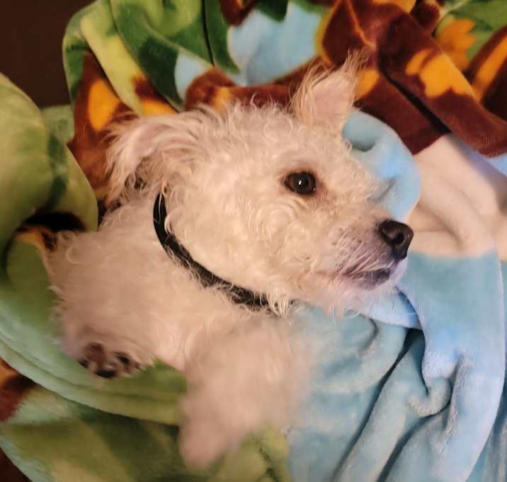 Photo of Mr. Scully
