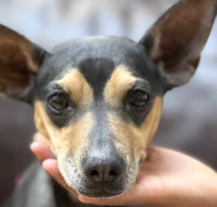 Photo of Lexi