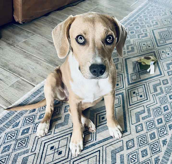 Photo of Sunny