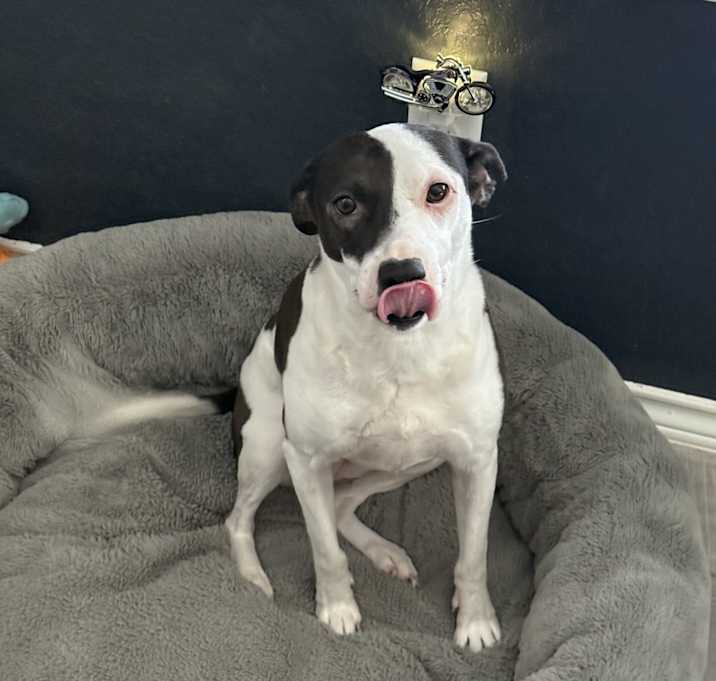 Photo of Sally