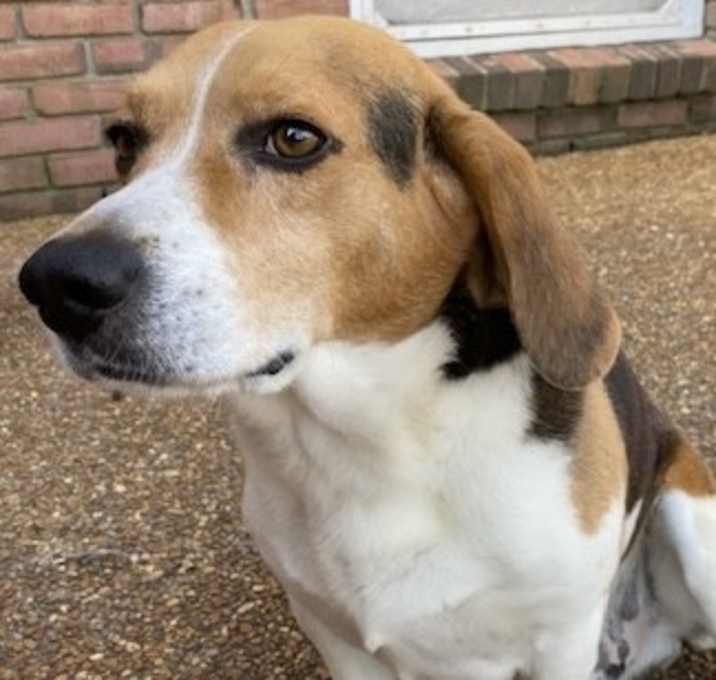 Photo of Rudy
