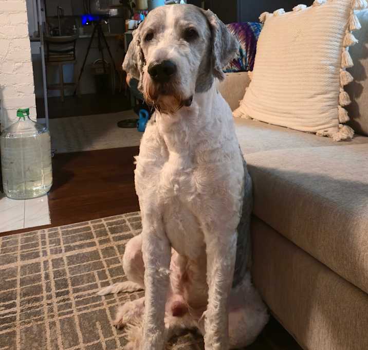 Photo of Beamer