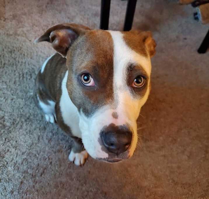 Photo of Hazel