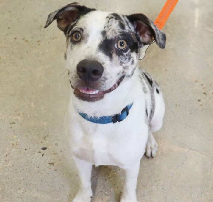 Photo of Oakley