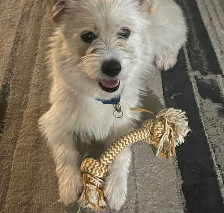 Photo of Sadie