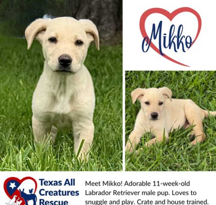 Photo of Mikko