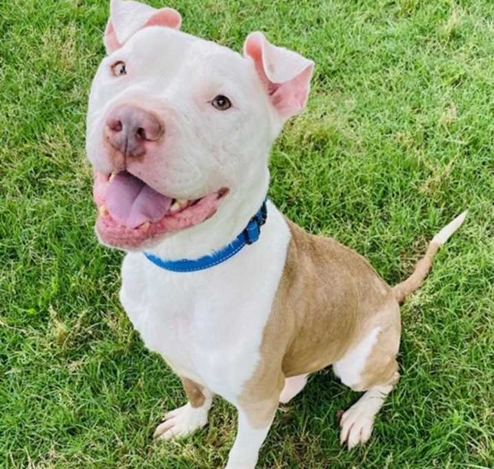 Photo of Zeus