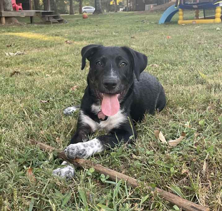 Photo of Keena