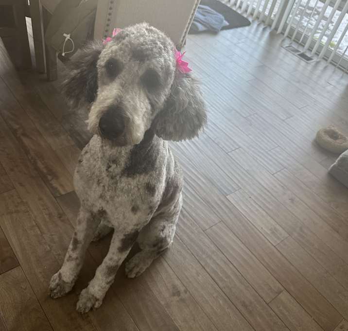 Photo of Storm