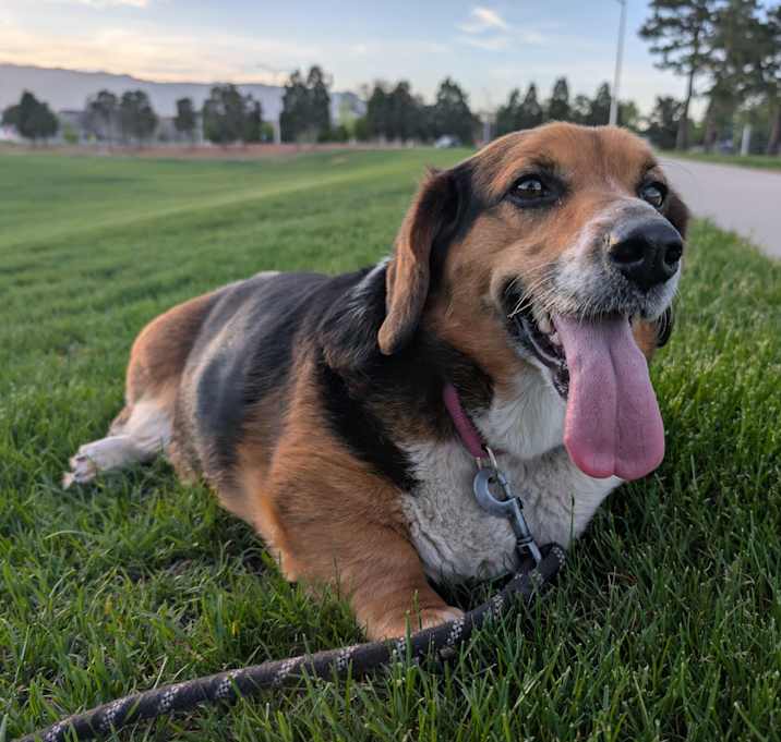 Photo of Millie