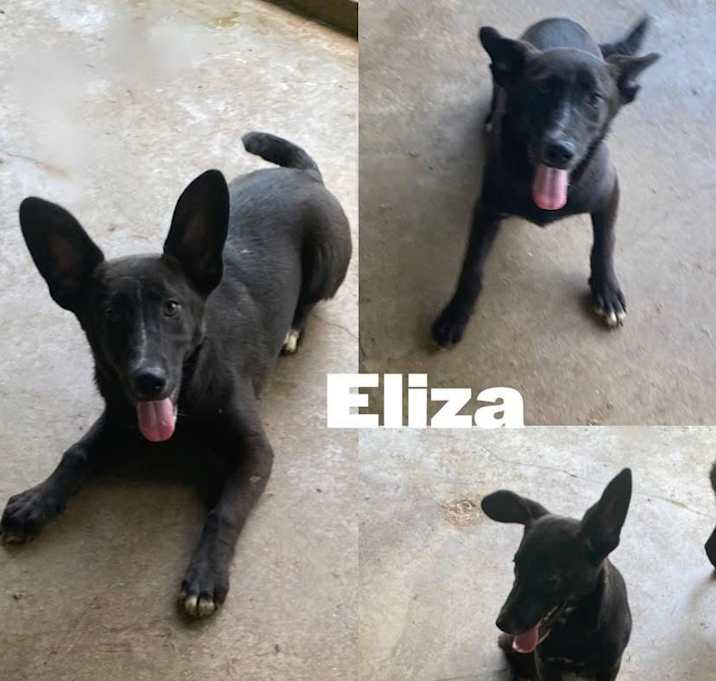 Photo of Eliza