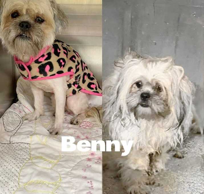 Photo of Benny