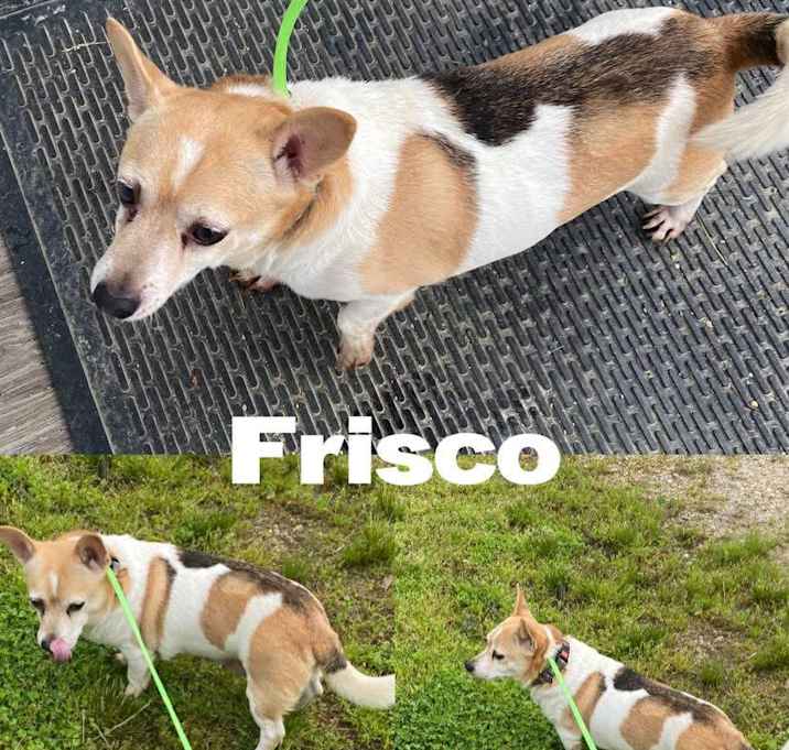Photo of Frisco